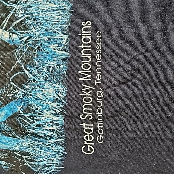 Vintage Great Smoky Mountains T-shirt - Picture 3 of 6